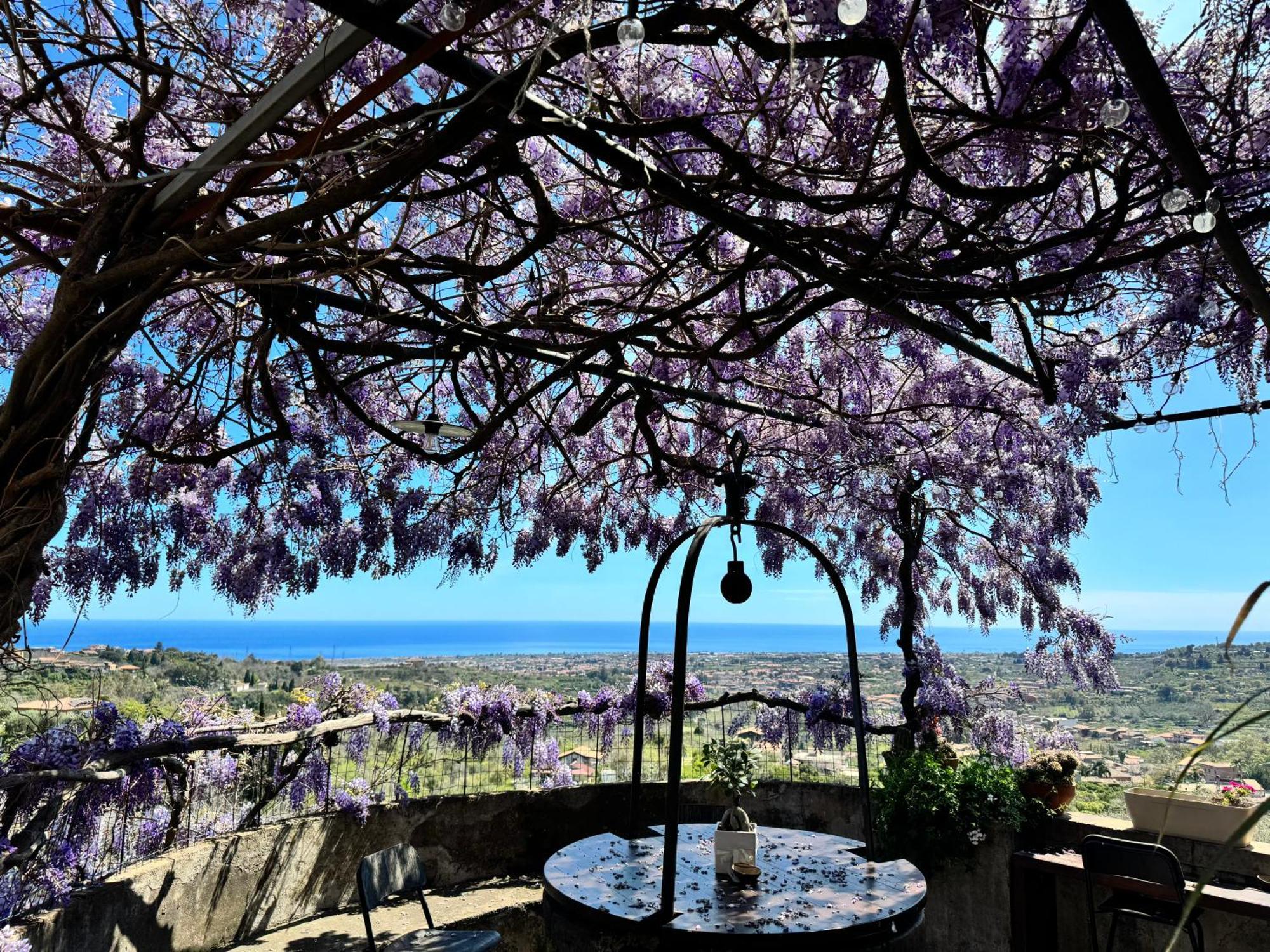 Il Noceto Dell'etna